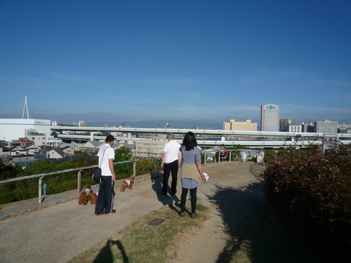 c0220700_8124066.jpg