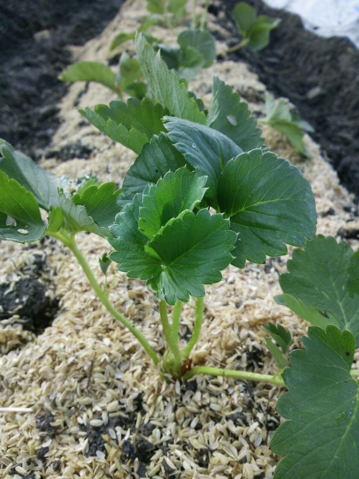 c0280206_9365228.jpg