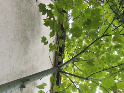 c0156908_0211719.jpg