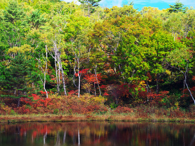 志賀高原　一沼の紅葉_a0263109_10115957.jpg