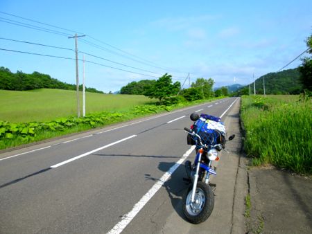 昨日は襟裳岬、今日は霧多布岬にツーリング_b0051109_234449.jpg