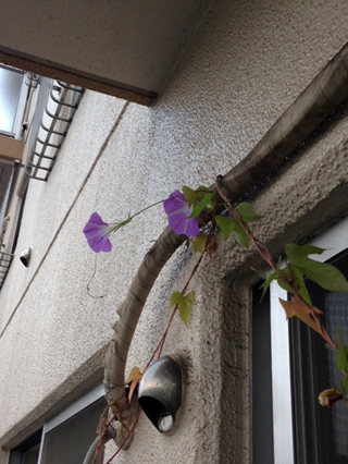 c0162310_7423369.jpg