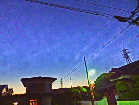 d0053616_201423.jpg