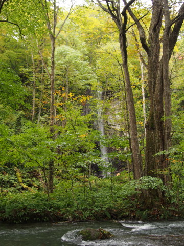 b0147224_22224978.jpg