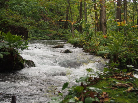 b0147224_22241987.jpg