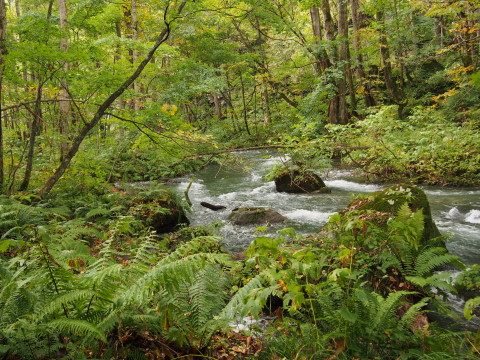 b0147224_22283538.jpg