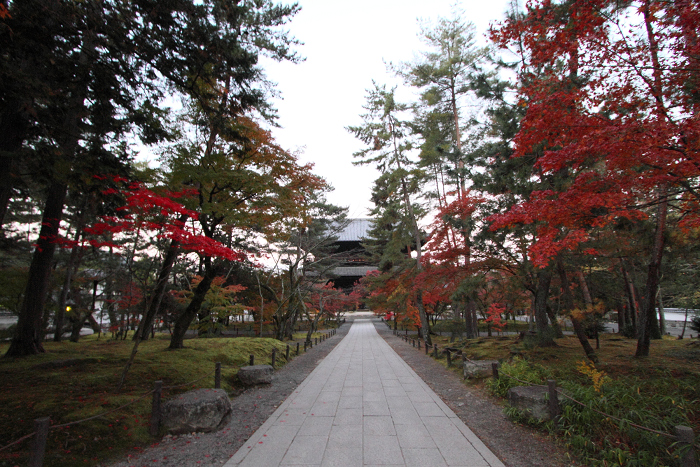 紅葉の南禅寺・哲学の路 －南禅寺（前編）－_b0169330_030299.jpg