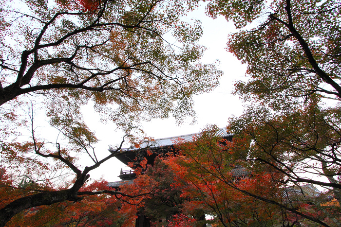 紅葉の南禅寺・哲学の路 －南禅寺（前編）－_b0169330_10225299.jpg