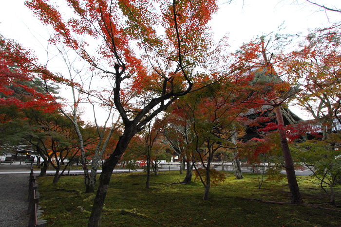 紅葉の南禅寺・哲学の路 －南禅寺（前編）－_b0169330_16212288.jpg