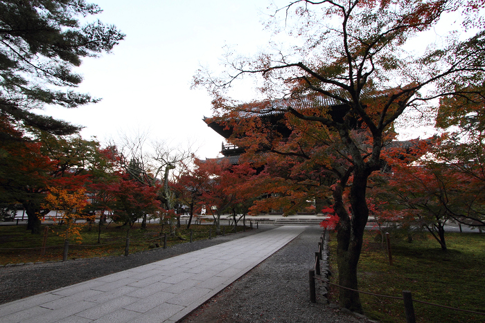 紅葉の南禅寺・哲学の路 －南禅寺（前編）－_b0169330_1621910.jpg