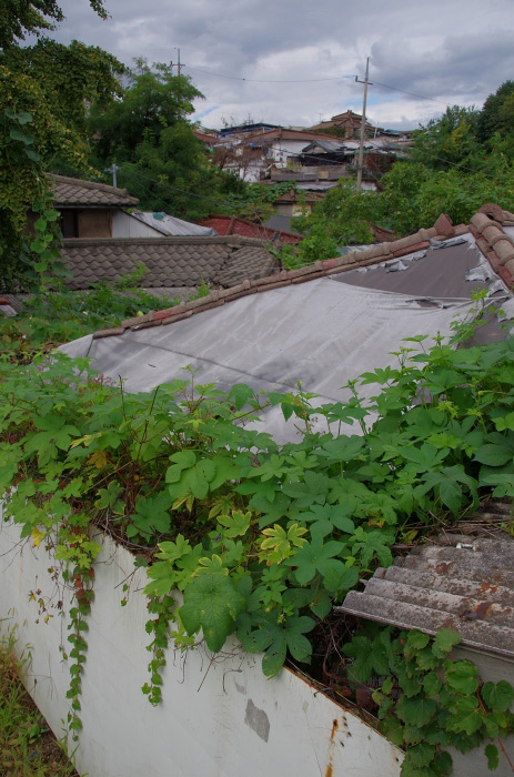  ２０１３年韓国の旅 その５ ＜２日目＞ 中渓洞の白砂マウル 前編_b0307132_12583878.jpg