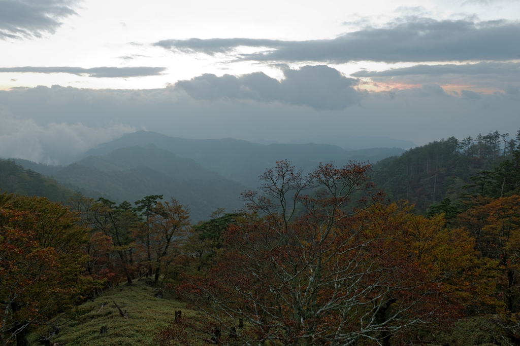 f0274536_20323861.jpg