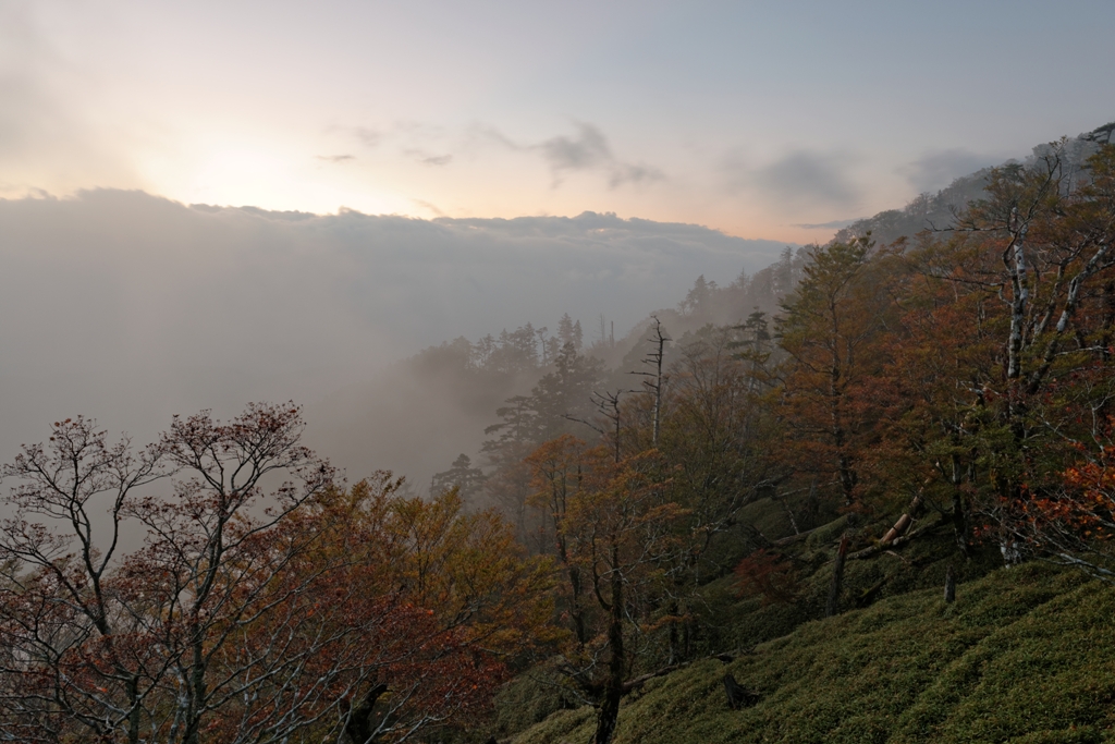 f0274536_20332780.jpg