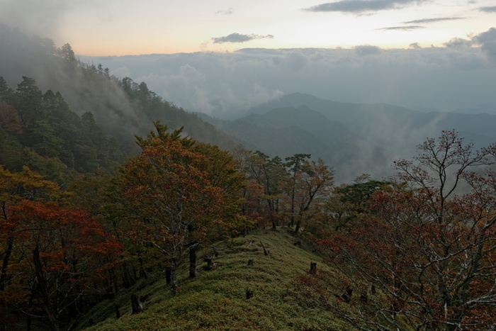 f0274536_2033927.jpg