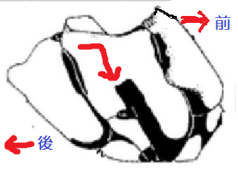 c0172139_1425378.png