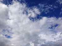 a0137240_41753.jpg