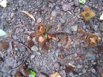 e0110940_2049576.jpg