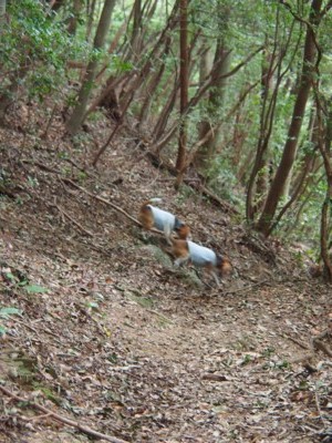 c0119142_623331.jpg