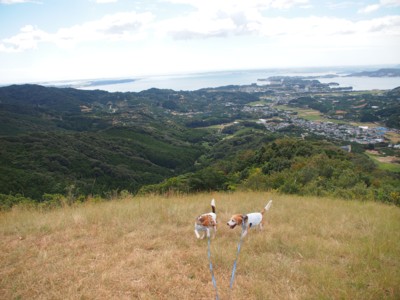 c0119142_6361868.jpg