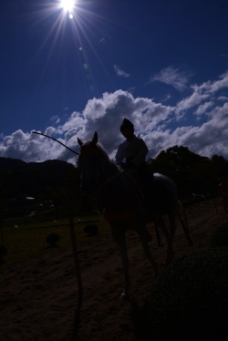 堀八幡神社　流鏑馬神事　女性騎手_a0298444_742237.jpg