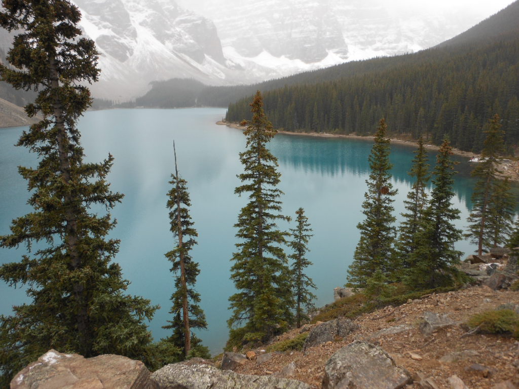 c0122744_14281040.jpg