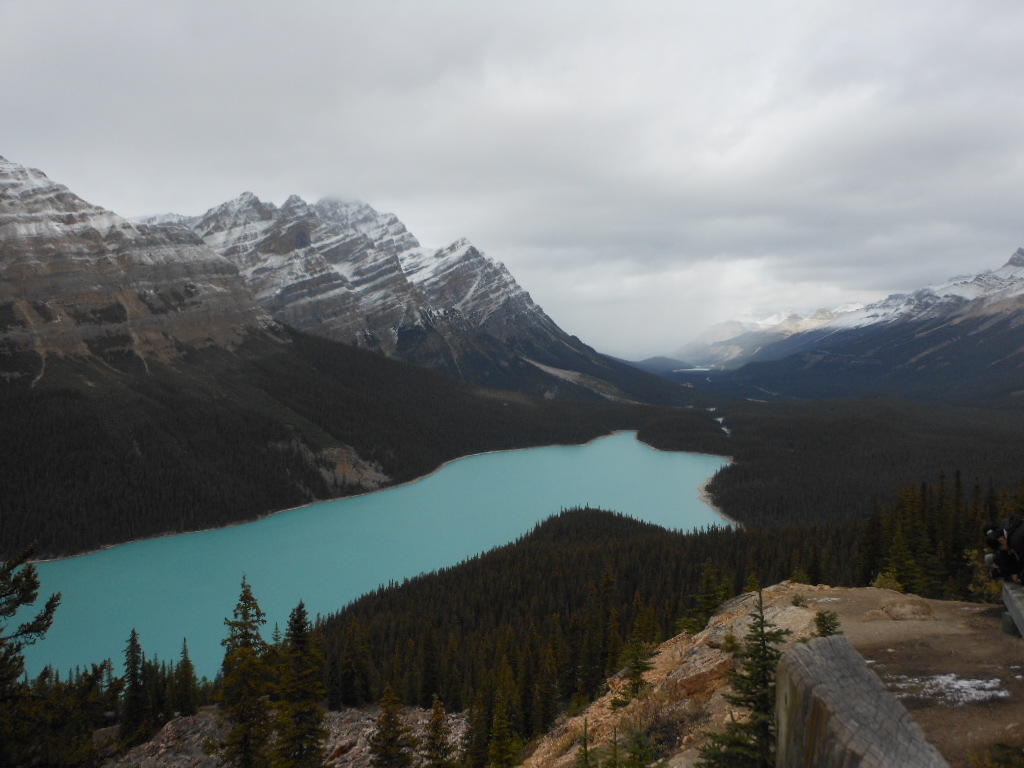 c0122744_14435839.jpg