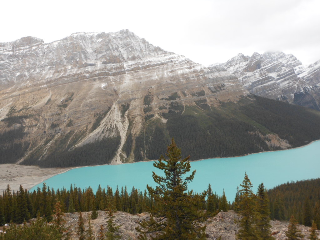 c0122744_1448910.jpg
