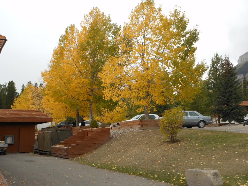c0122744_14595547.jpg