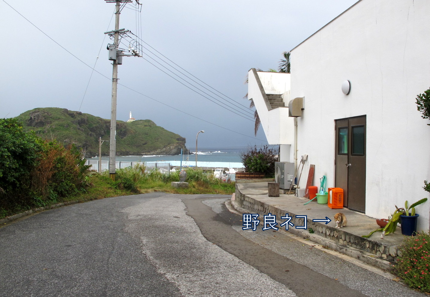 10月12日 そうだ、与那国島へ行こう♪_b0158746_18415483.jpg