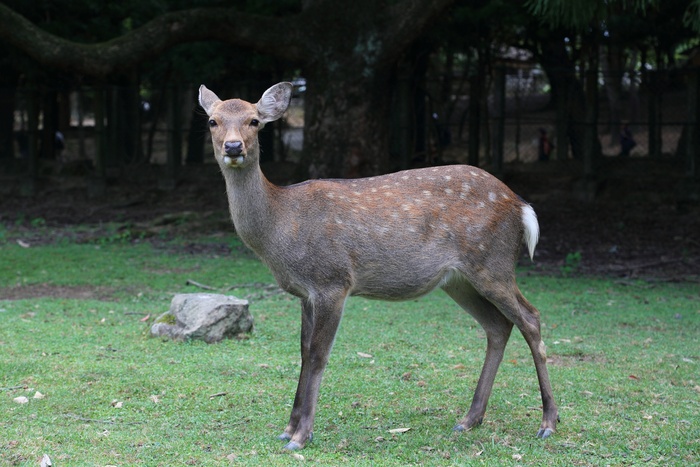 f0133847_8215877.jpg