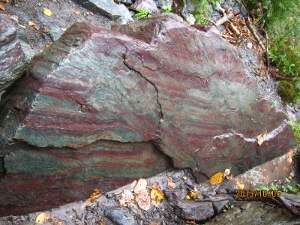 b0148050_16514231.jpg