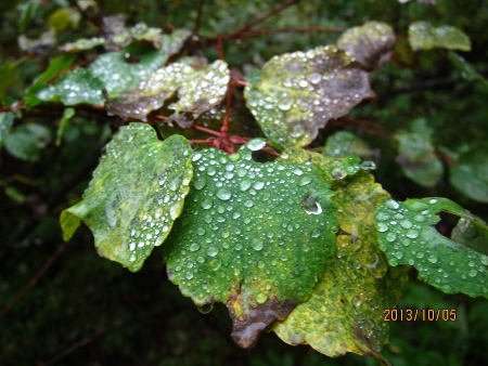 b0148050_16521590.jpg