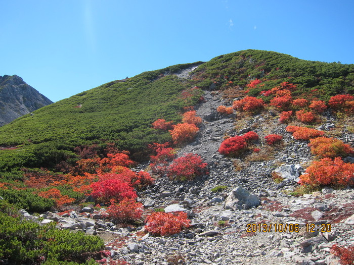 北岳＆間ノ岳：2日目（肩の小屋→北岳・間ノ岳・農鳥小屋→北岳山荘）_b0148050_1846216.jpg