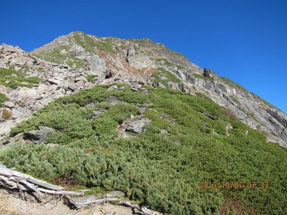 b0148050_1949039.jpg