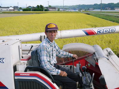 七城米 長尾農園 美しすぎる田んぼの稲刈り その2_a0254656_18142193.jpg