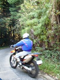 e0044657_003592.jpg