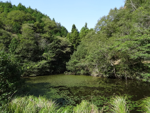岬高校植樹予定地の草刈り in 孝子の森 by (TATE-misaki)_c0108460_2141493.jpg