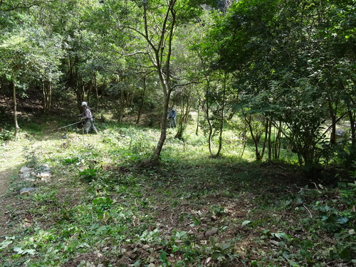 岬高校植樹予定地の草刈り in 孝子の森 by (TATE-misaki)_c0108460_21443928.jpg