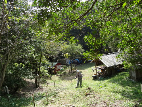 岬高校植樹予定地の草刈り in 孝子の森 by (TATE-misaki)_c0108460_2155628.jpg