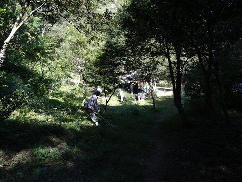 岬高校植樹予定地の草刈り in 孝子の森 by (TATE-misaki)_c0108460_2156877.jpg