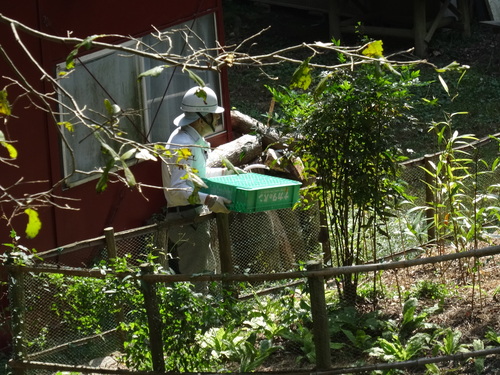 岬高校植樹予定地の草刈り in 孝子の森 by (TATE-misaki)_c0108460_2159421.jpg