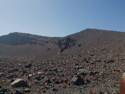 d0110562_2065274.jpg