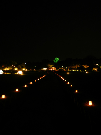 岡山後楽園　夜間ライトアップ”秋の誘い庭園”_b0056570_053268.jpg