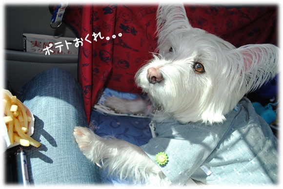 b0242873_23101952.png