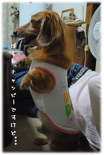 b0242873_23381488.png