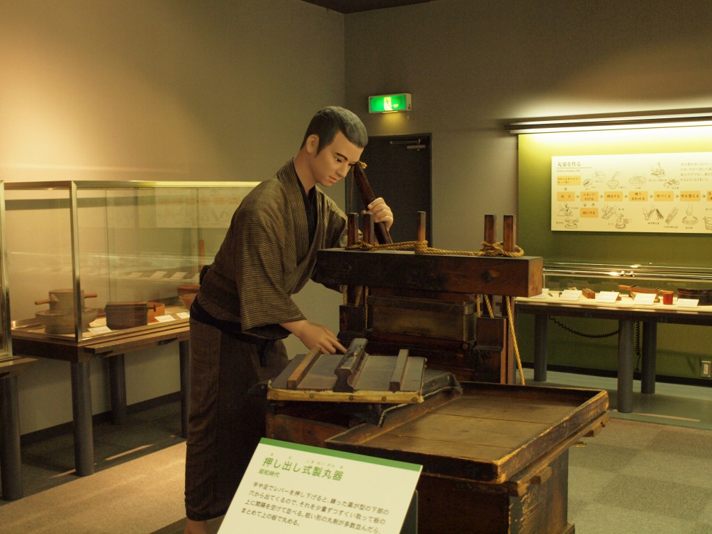 『内藤記念くすり博物館と薬草薬木園』_d0054276_20302892.jpg