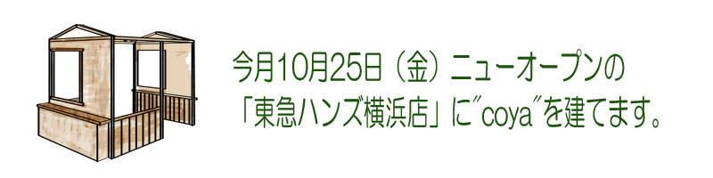 b0160880_1058519.png