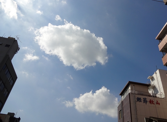 c0096685_1975331.jpg