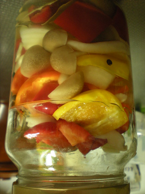 甘酢漬け_e0233190_16493547.jpg