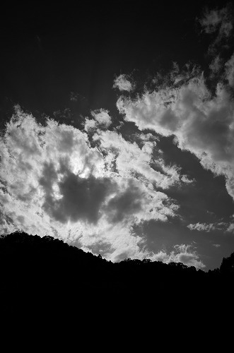 b0119493_23531418.jpg